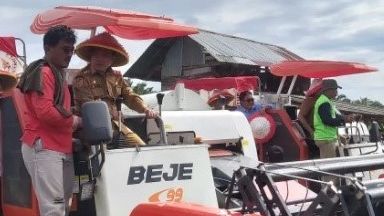 Petani Jujuhan Ilir Panen Raya, Buktikan Program Kementan On The Track