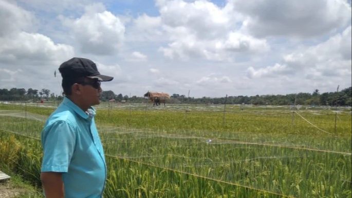BP Jawara Terus Tumbuh, UPT Kementan Intensif Kawal Percepatan Swasembada Pangan