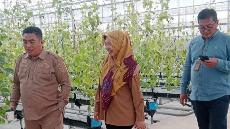 UPT Pelatihan Kementan Kembangkan Smart Greenhouse untuk Pelatihan Pertanian Presisi
