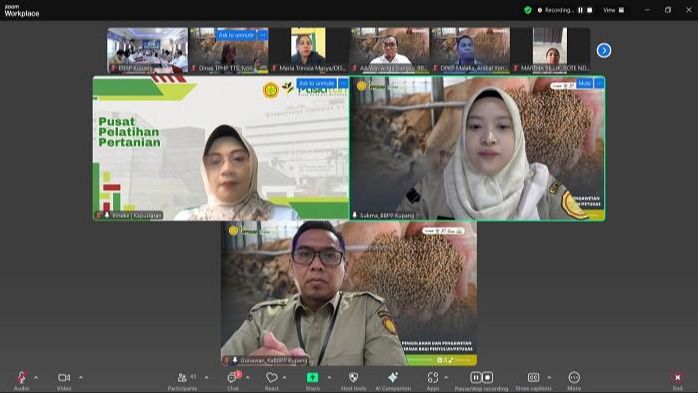 Atasi Kekurangan Pakan Musim Kemarau, BBPP Kementan Gelar Pelatihan Online Pengolahan Pakan Ternak