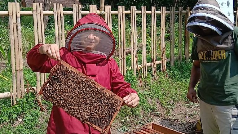 Budidaya Lebah Apis Mellifera, P4S Lembah Suhita Ajak Masyarakat Raup Untung