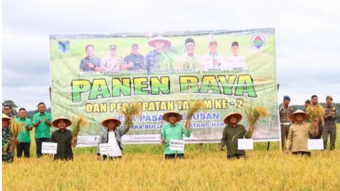 Panen Raya 365 Hektar, Batang Hari Mantapkan Langkah Jadi Lumbung Pangan