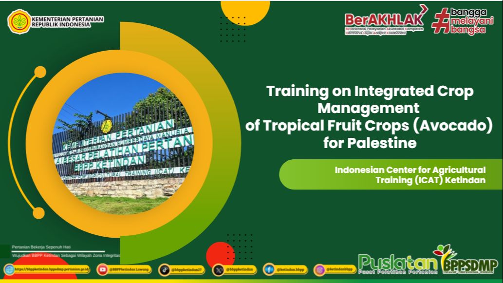 Training on Integrated Crop Management of Tropical Fruit Crops (Avocado) for Palestine