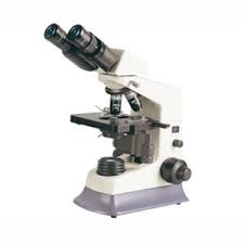 Biological Microscope