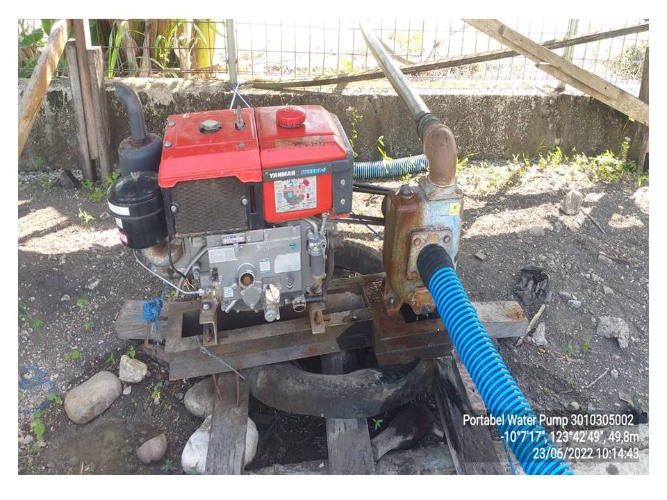 Portable Water Pump