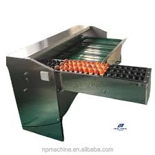 Alat Processing Telur