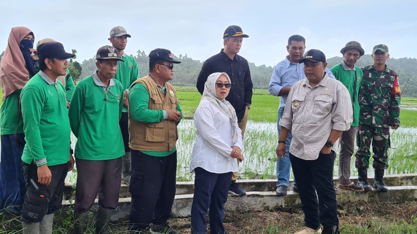 Wujudkan Ketahanan Pangan, Kementan Gencarkan Program PAT di Simeulue