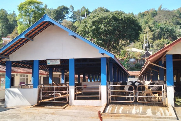 Instalasi Sapi Perah dan Kambing Perah
