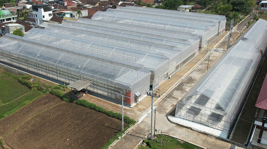 Smart Greenhouse