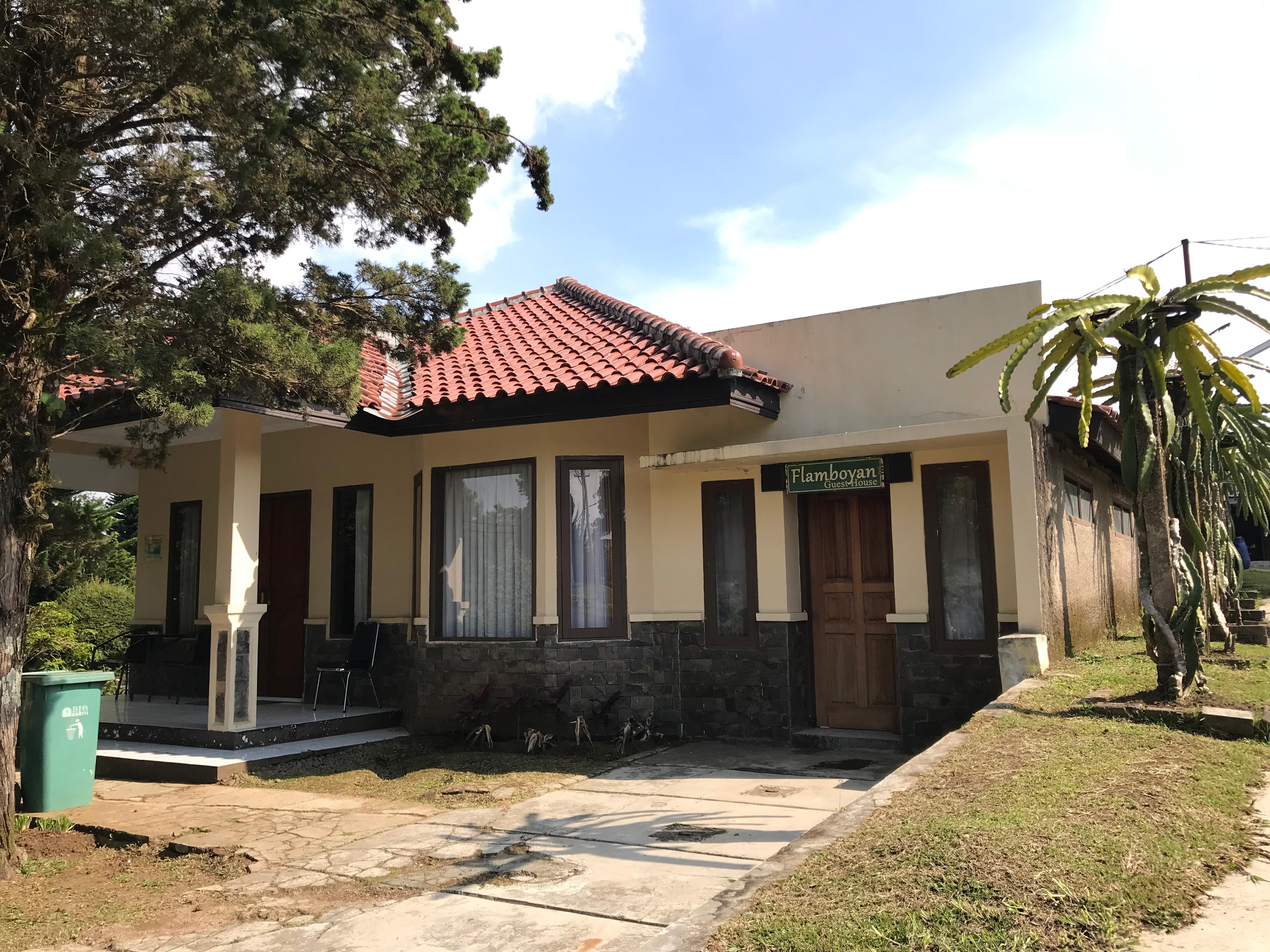 Guest House Flamboyan