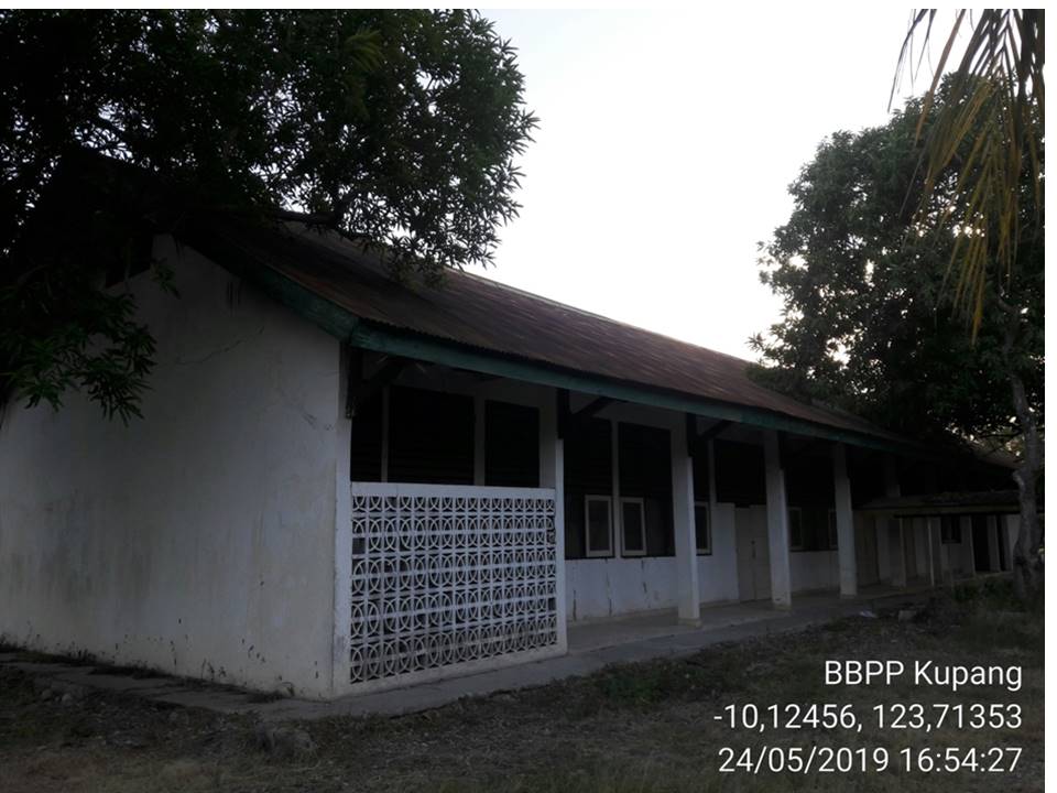 Klinik Hewan
