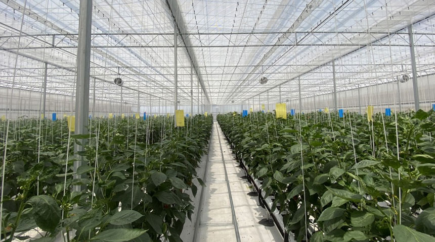Smart Greenhouse