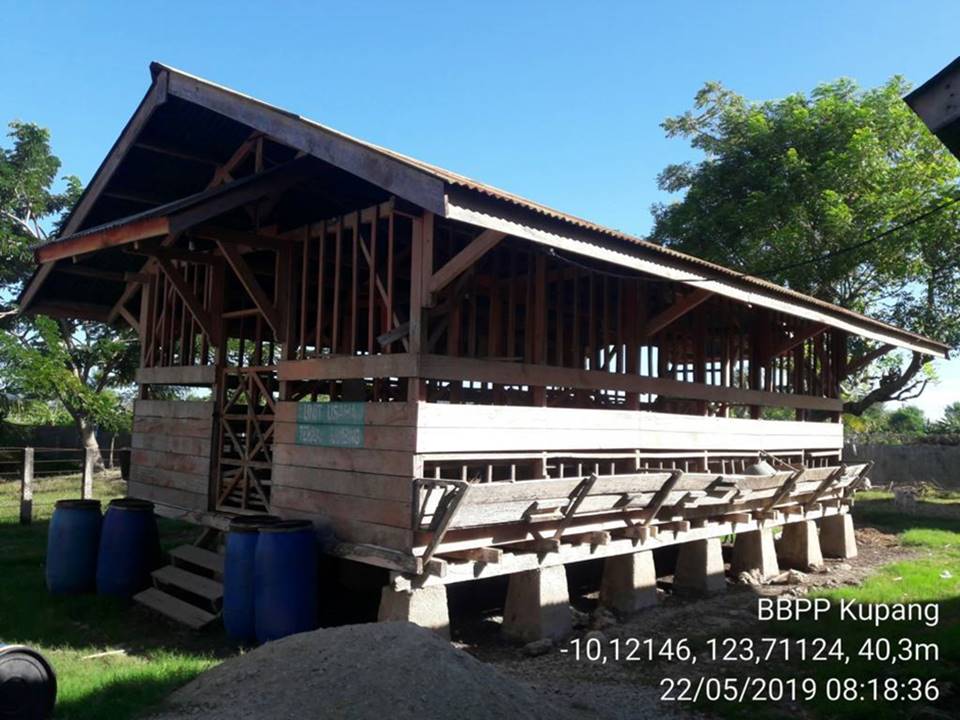 Kandang Kambing
