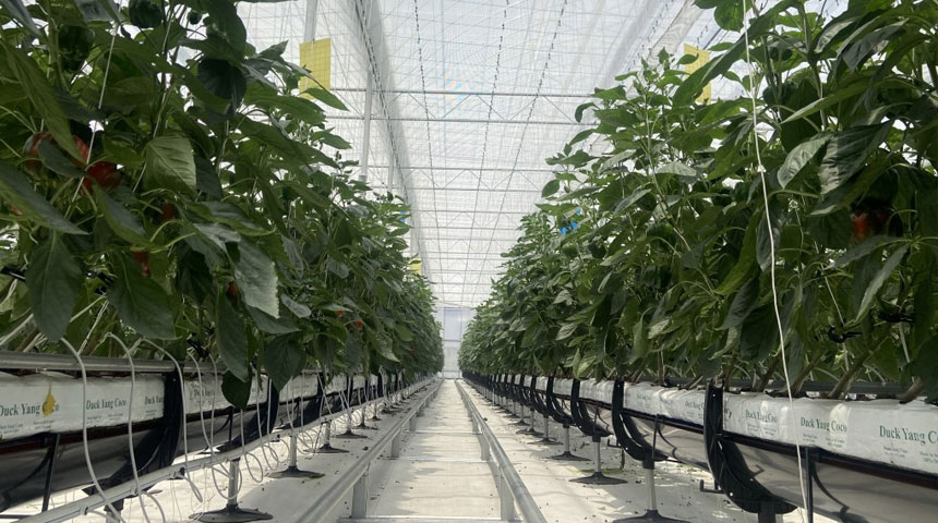 Smart Greenhouse