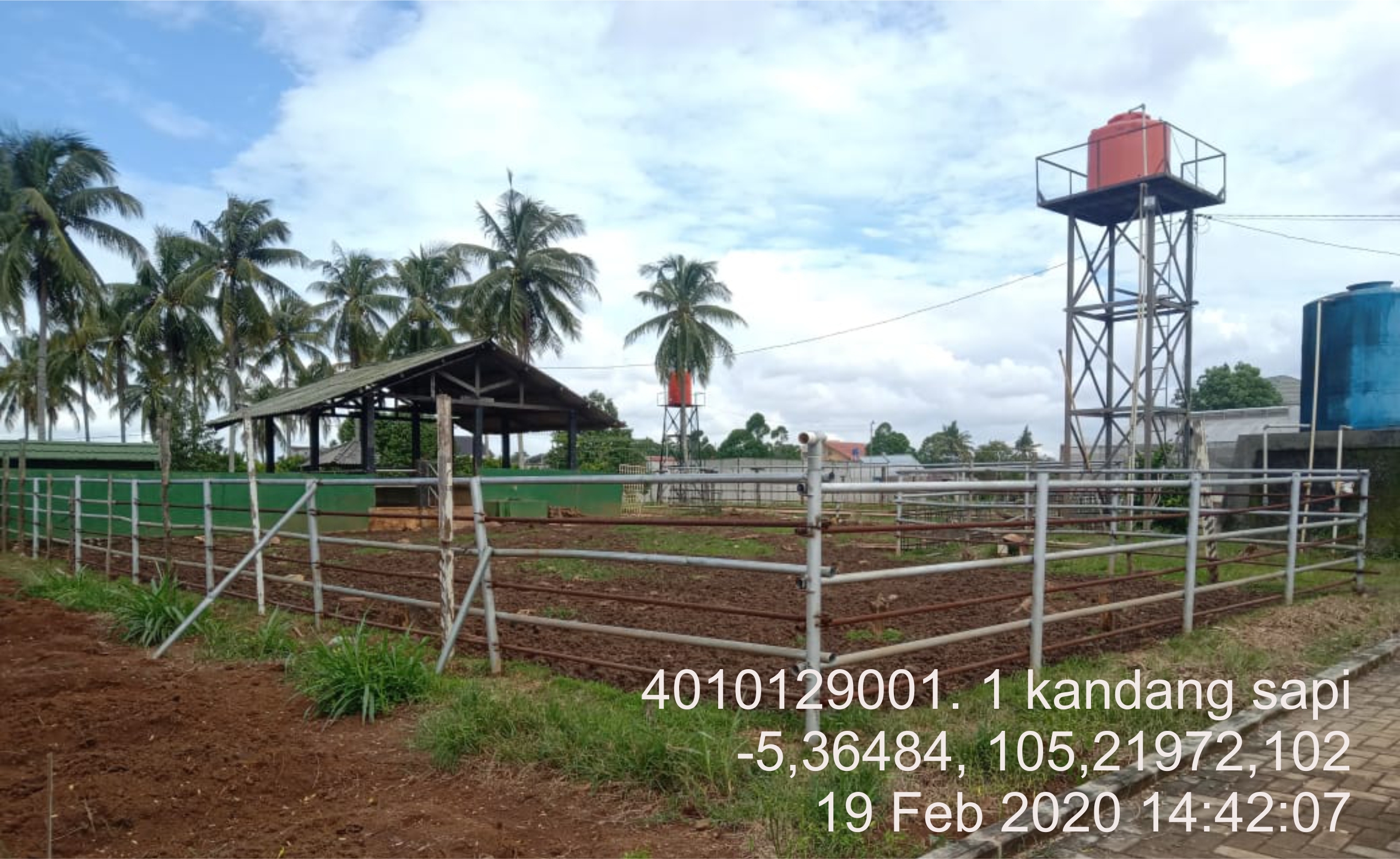 Kandang Sapi
