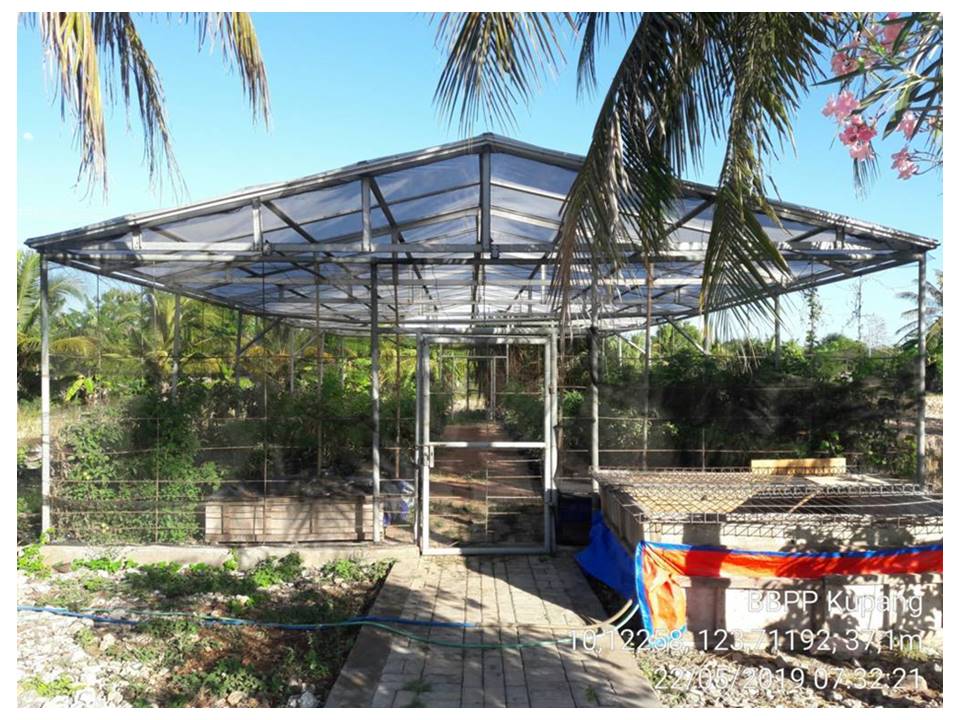 Green House