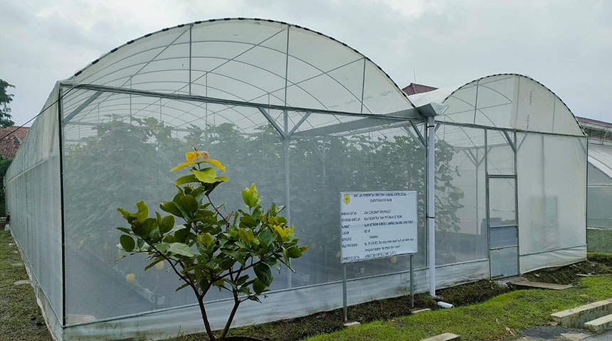 Low Cost Smart Greenhouse
