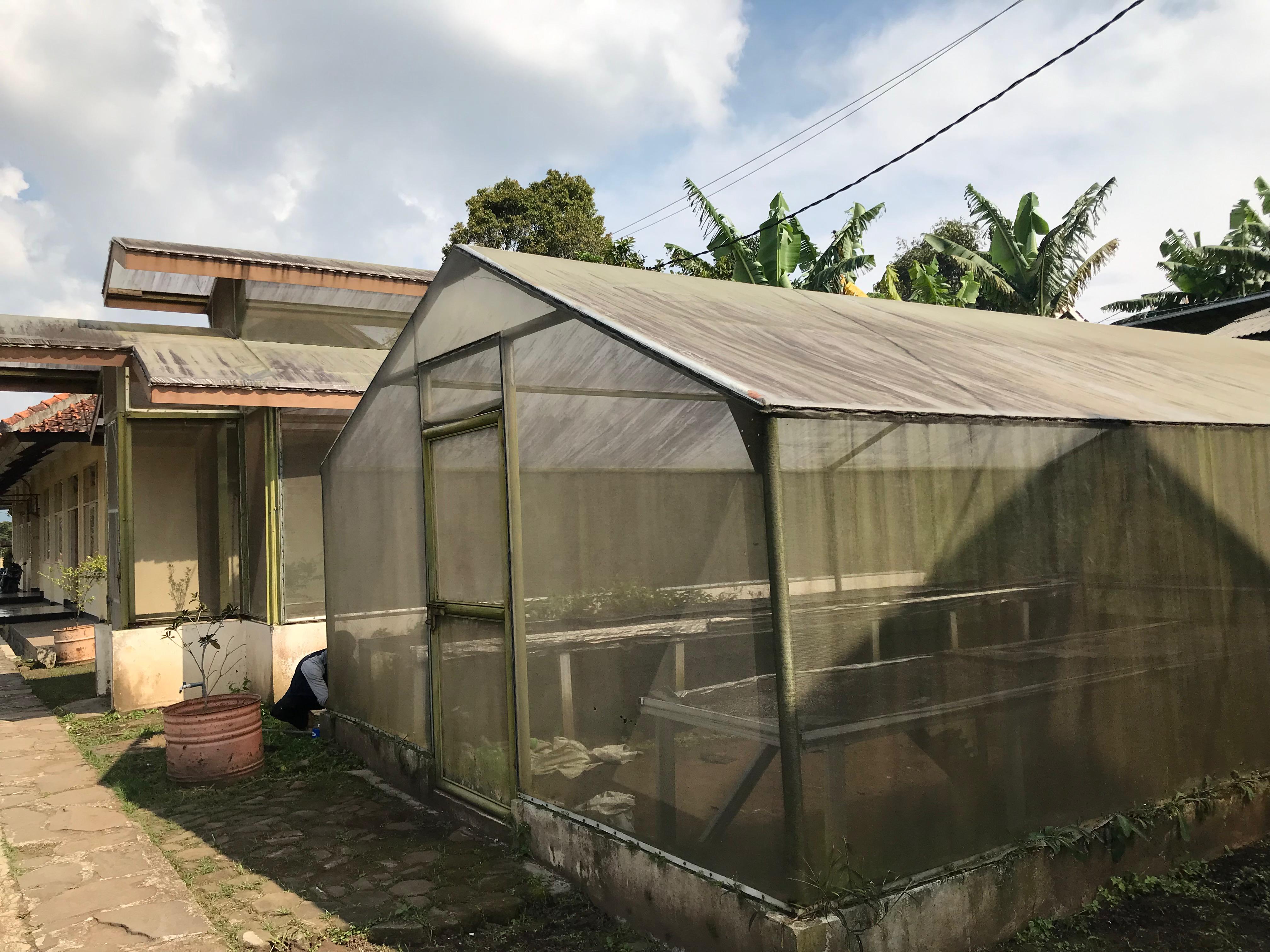 Screen House Aklimatisasi