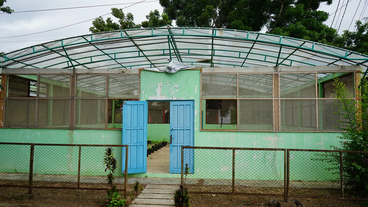 Screen House Pembibitan