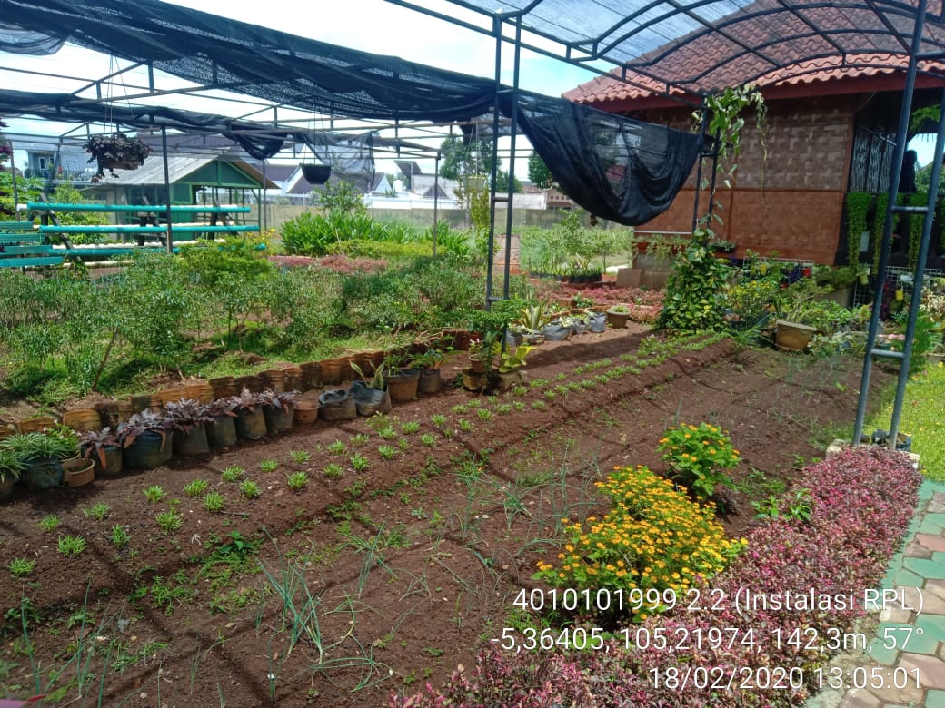 Saung RPL