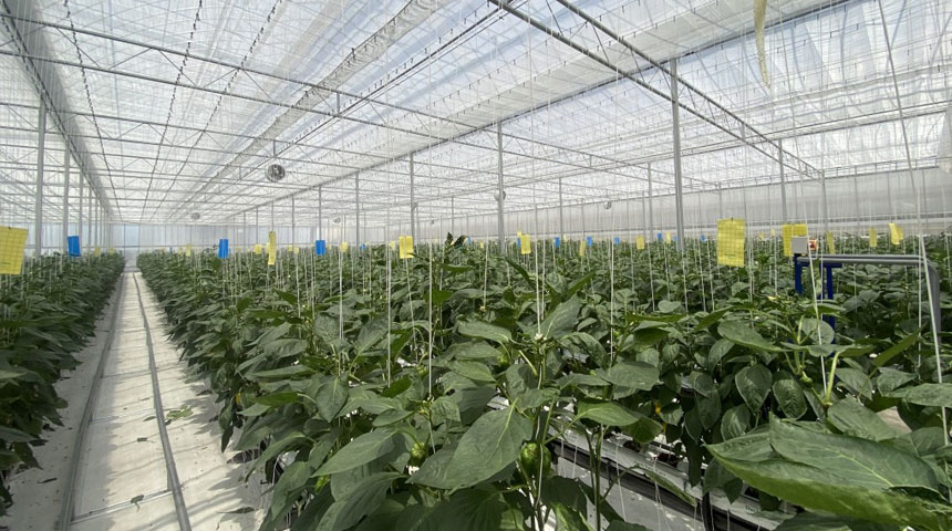Smart Greenhouse