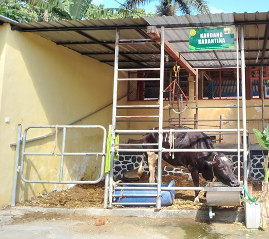 Instalasi Sapi Perah dan Kambing Perah
