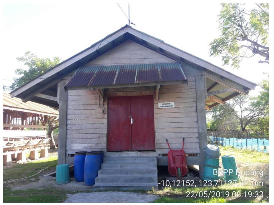 Kandang Kambing